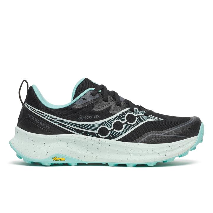Peregrine 16 GTX, Black | Aqua, dynamic