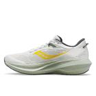 Triumph 21, Fog | Bough, dynamic 3