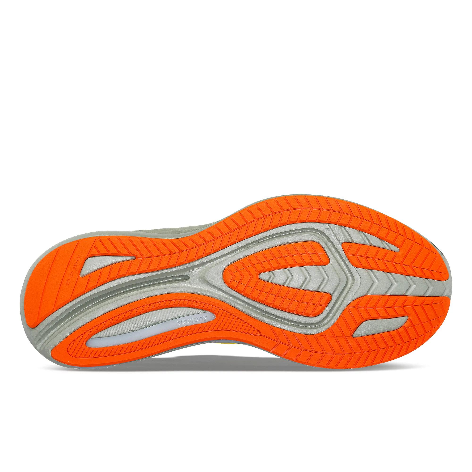 Omni 22 Wide, Fog | Bough, dynamic 6