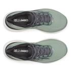 Triumph 23, Iceberg | Carbon, dynamic 5