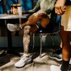 Triumph 23, Shadow | ViZi, dynamic 8