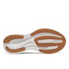 Cohesion 18, Carbon | Gum, dynamic 6