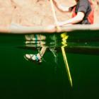 Z/1 Rapid Pro Adjustable Strap Classic Sandal, Eddy Aqua, dynamic 3