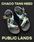 Public Lands Mega Z Classic Sandal, One Sky, dynamic 2