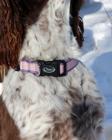 Dog Collar - Overcoming the Odds, Overcoming the Odds, dynamic 2